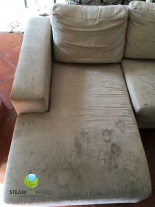 sofadirtysteamcleaning1
